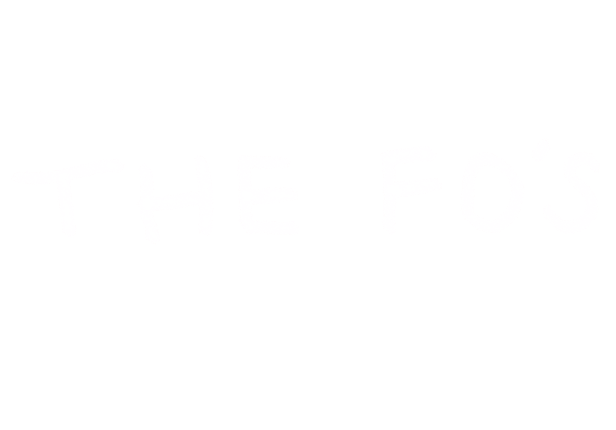 The FO's official white wordmark